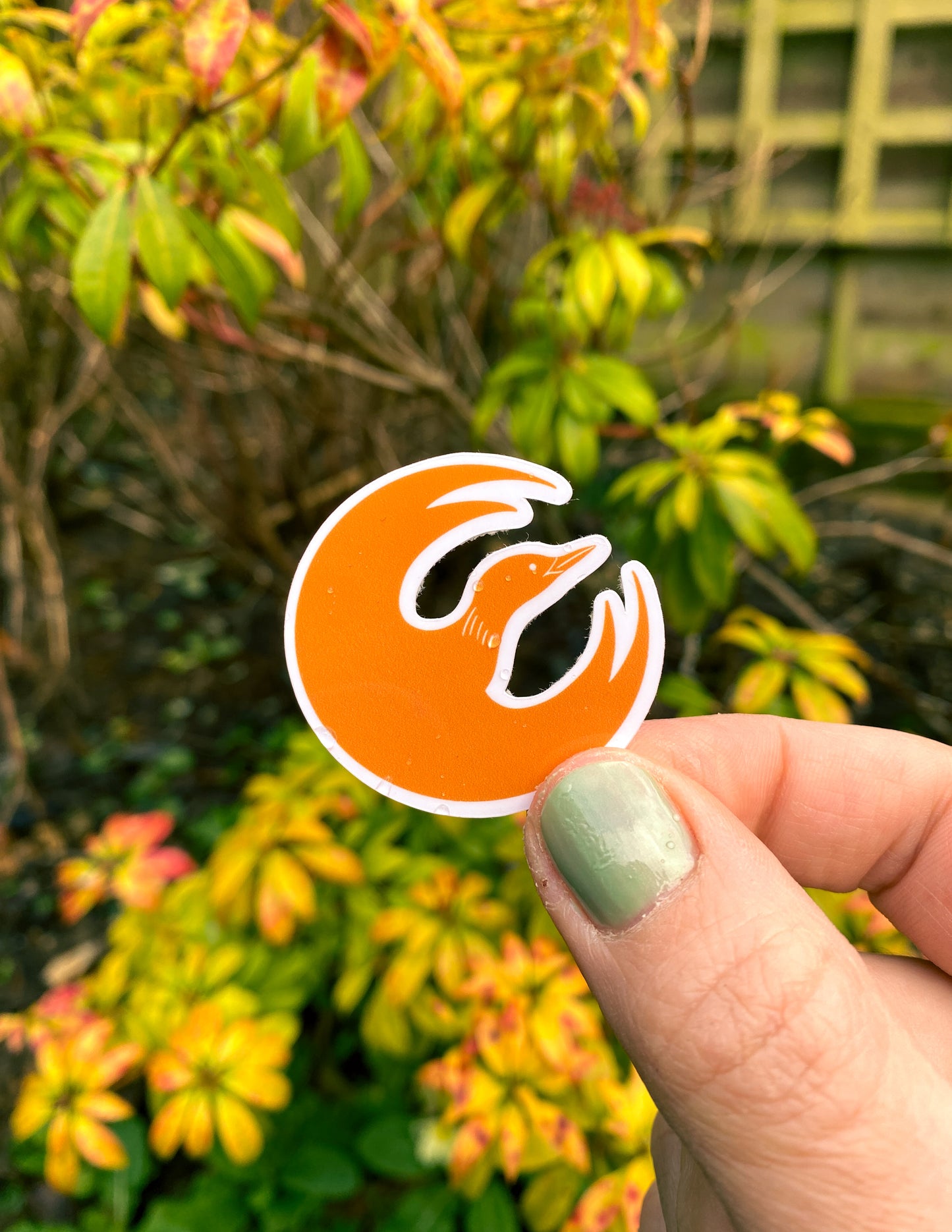 Loon-Starbird stickers