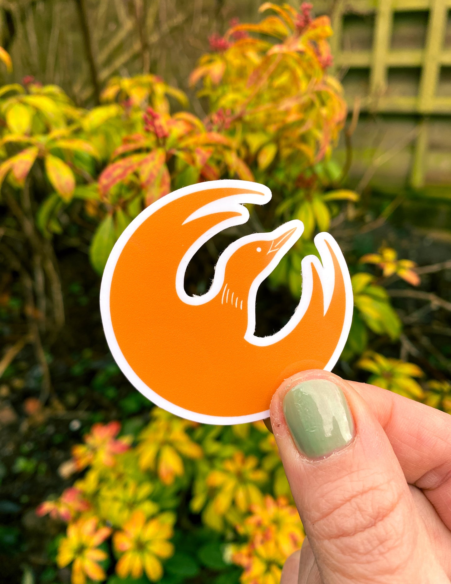 Loon-Starbird stickers